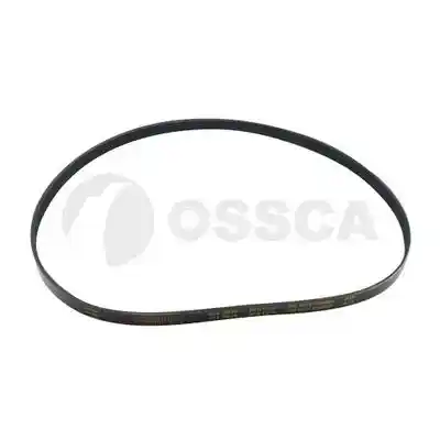 OSSCA 04696