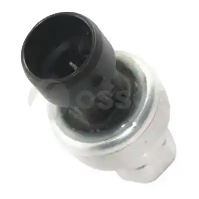 OSSCA 04877 OSSCA 04877