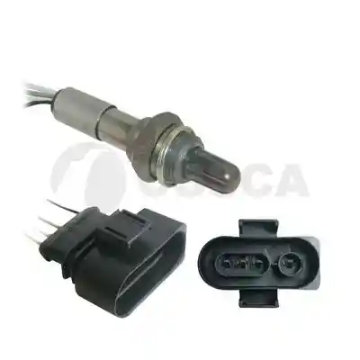 OSSCA 05582 OSSCA 05582