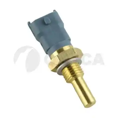 OSSCA 05677