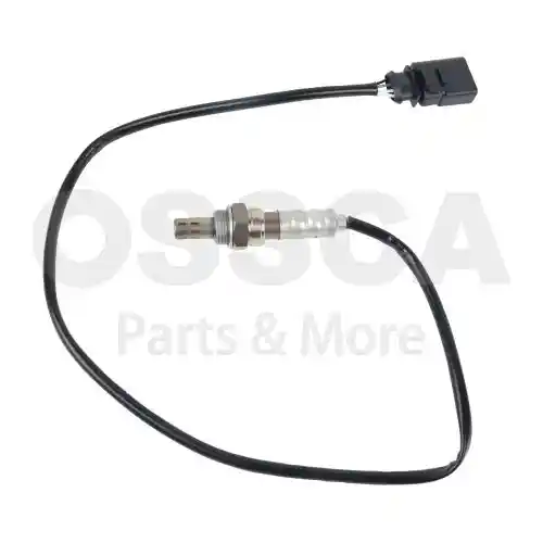 OSSCA 05817