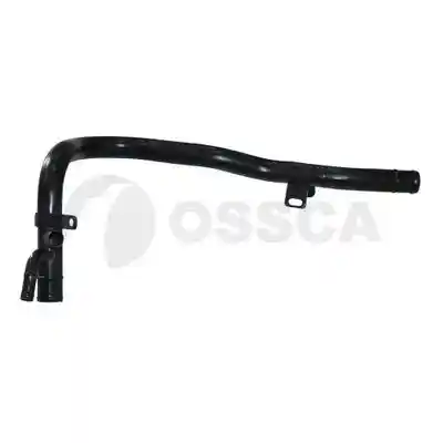 OSSCA 05858