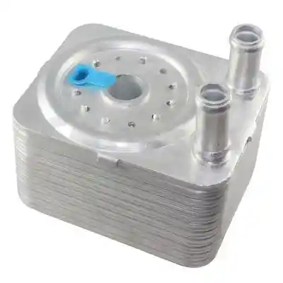 OSSCA 05959