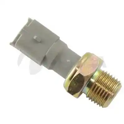 OSSCA 06899