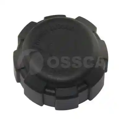 OSSCA 07560