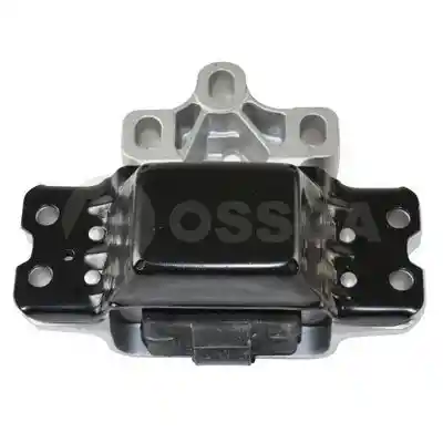 OSSCA 09450