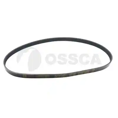 OSSCA 09477