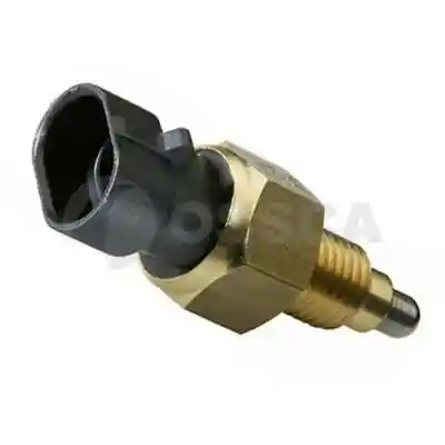 OSSCA 11195