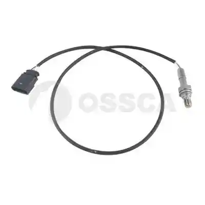 OSSCA 11584