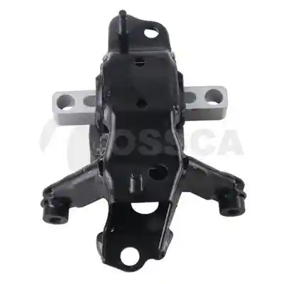 OSSCA 12521