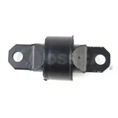 OSSCA 12573