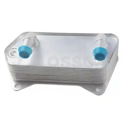 OSSCA 12673