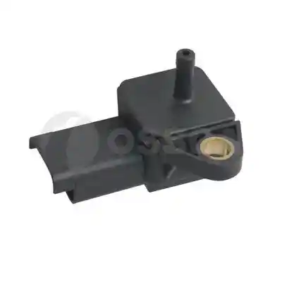 OSSCA 13079 OSSCA 13079
