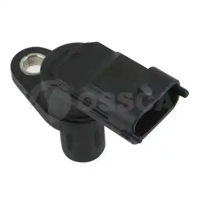 OSSCA 13152