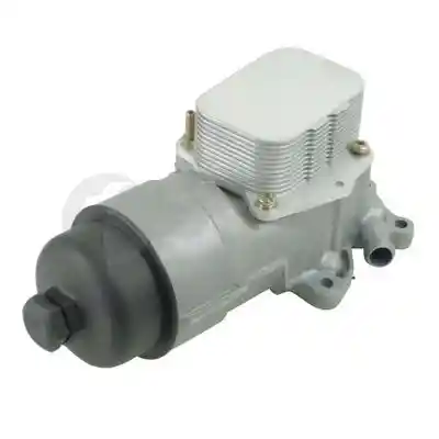 OSSCA 13489