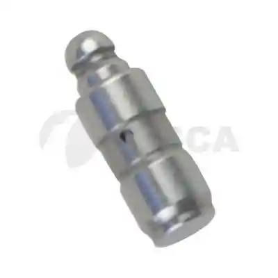 OSSCA 16538