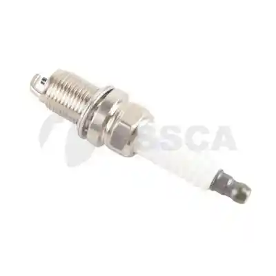 OSSCA 16595