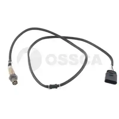 OSSCA 19751