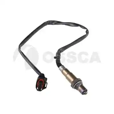 OSSCA 19947