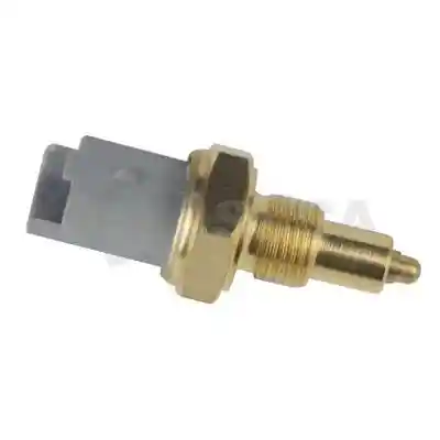 OSSCA 22519 OSSCA 22519