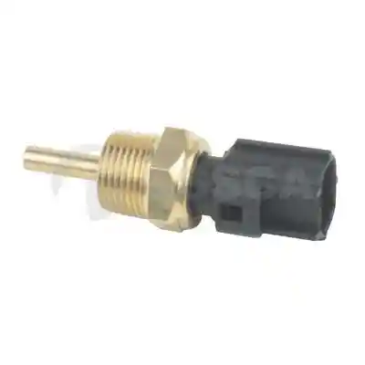 OSSCA 24571