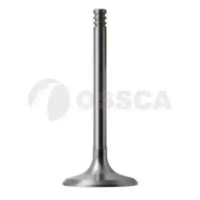OSSCA 24749