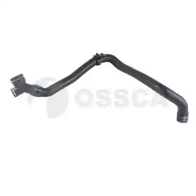OSSCA 24858