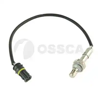 OSSCA 33606