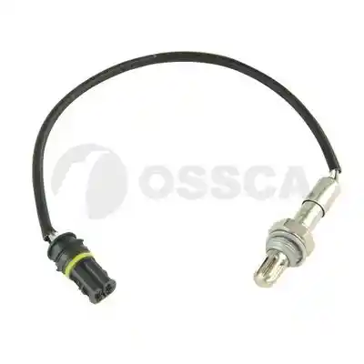 OSSCA 33607