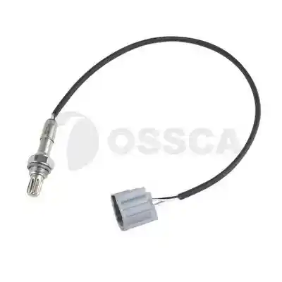 OSSCA 41064
