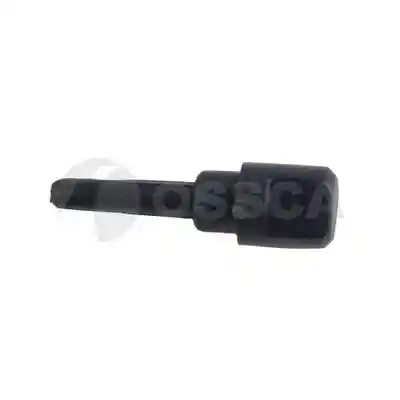OSSCA 43613