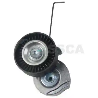 OSSCA 48166