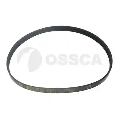OSSCA 48521 OSSCA 48521