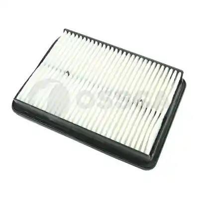 OSSCA 53978