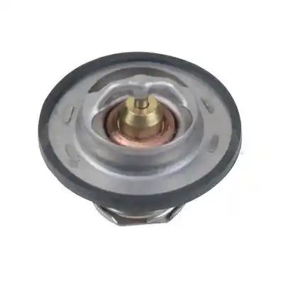 OSSCA 64593