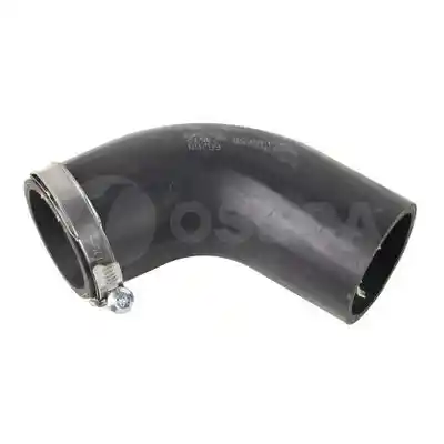 OSSCA 66268