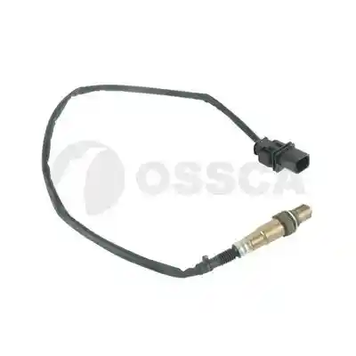 OSSCA 79681