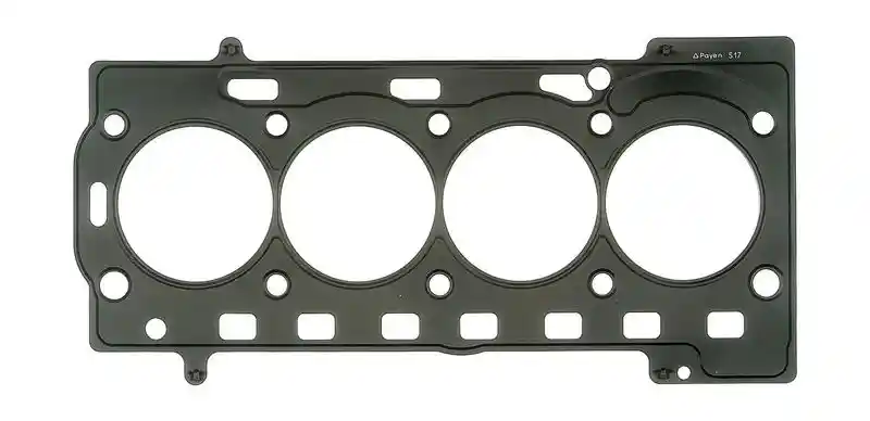 PAYEN AG8850
