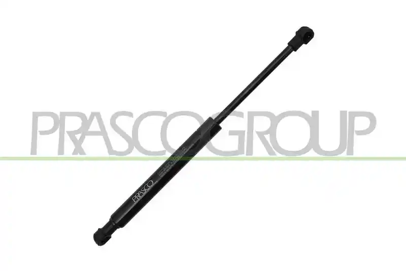 PRASCO AA0909055
