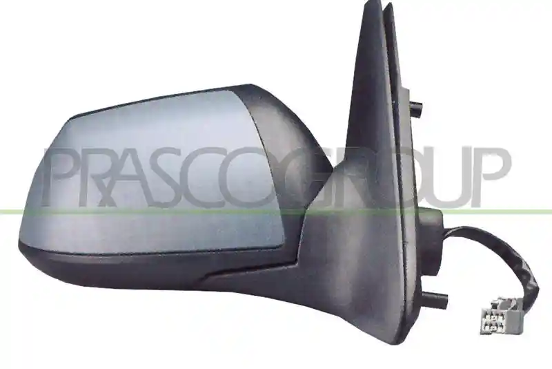 PRASCO FD1077313