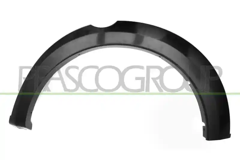PRASCO MB8241584