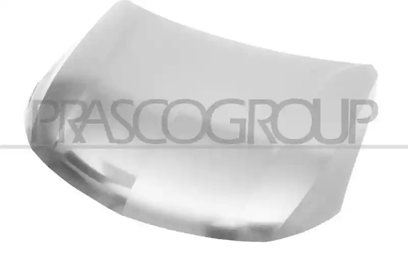 PRASCO MB8243100