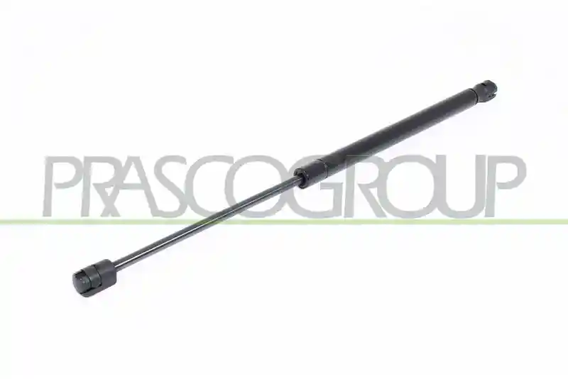 PRASCO SK3209055