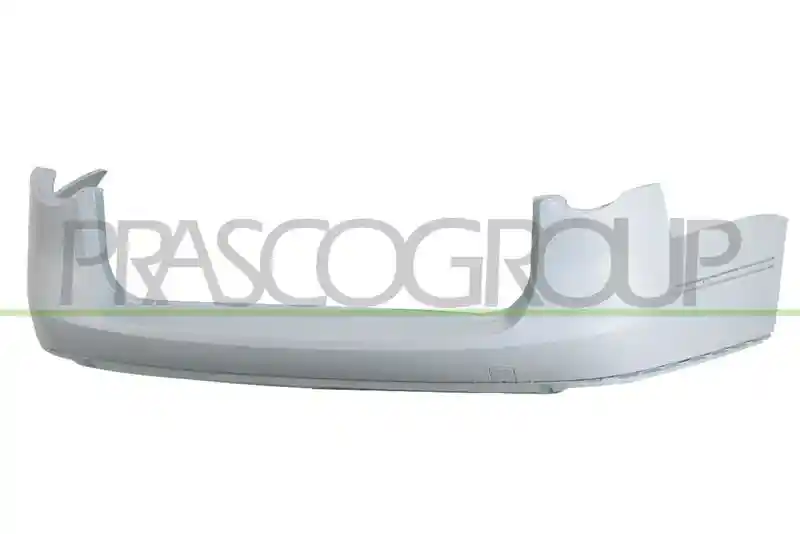PRASCO VG0541071