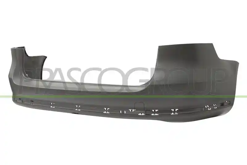 PRASCO VG0551091
