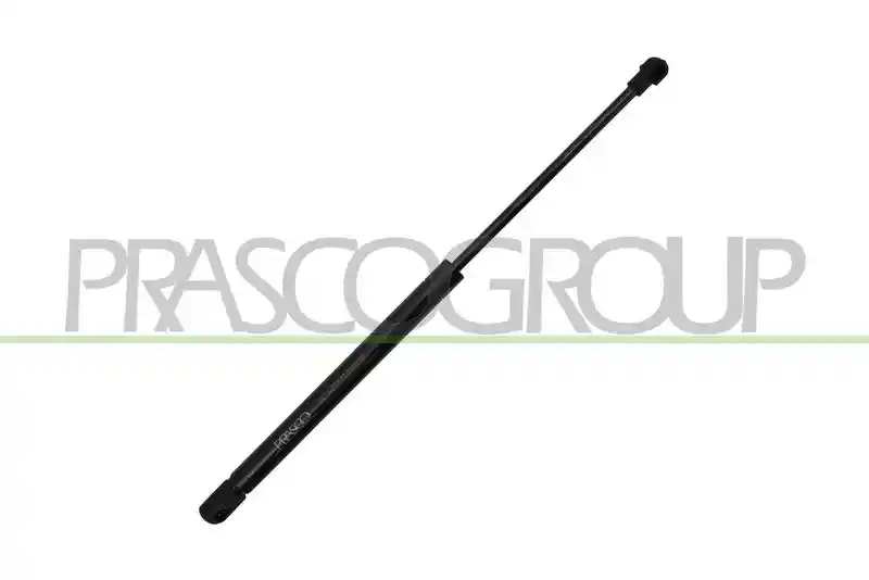 PRASCO VG9049001