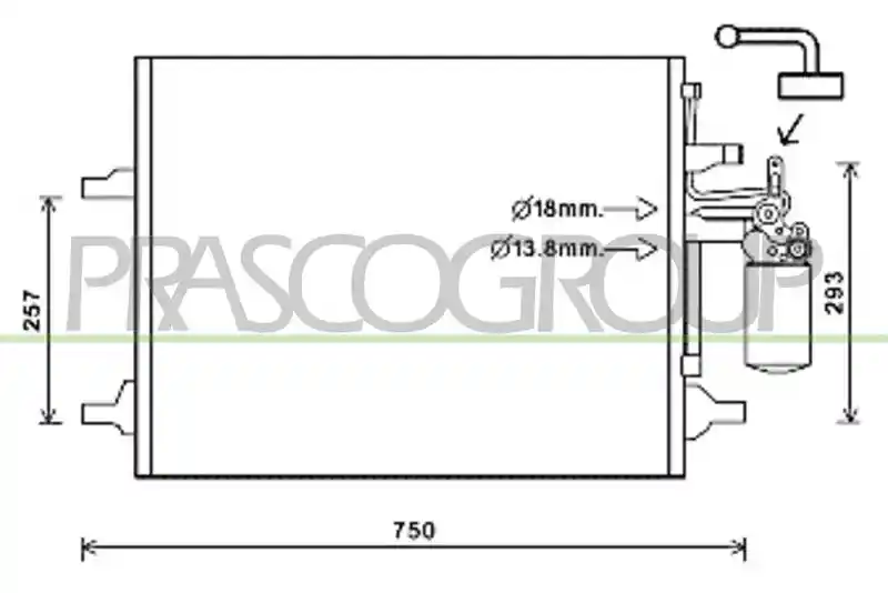PRASCO VV046C003