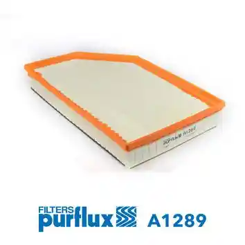 PURFLUX A1289