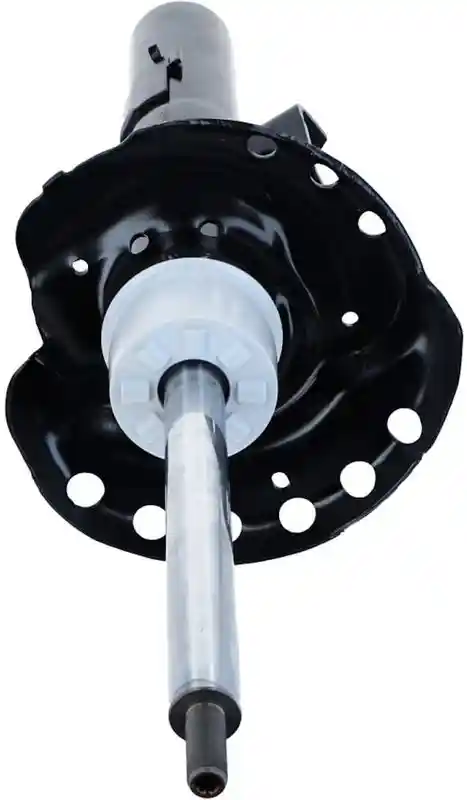 SACHS 313 748