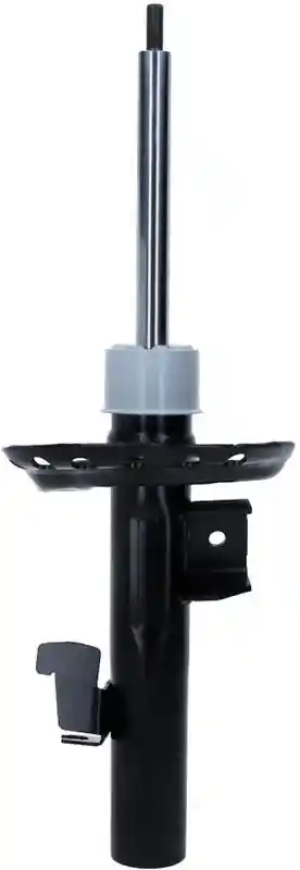 SACHS 313 748